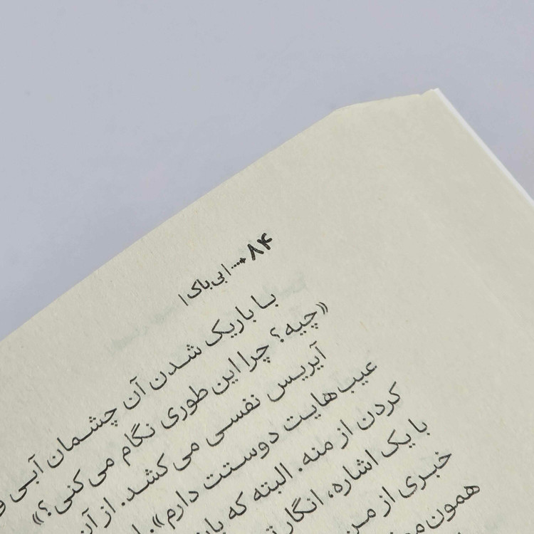 مشخصات کتاب بیباک لورن رابرتس