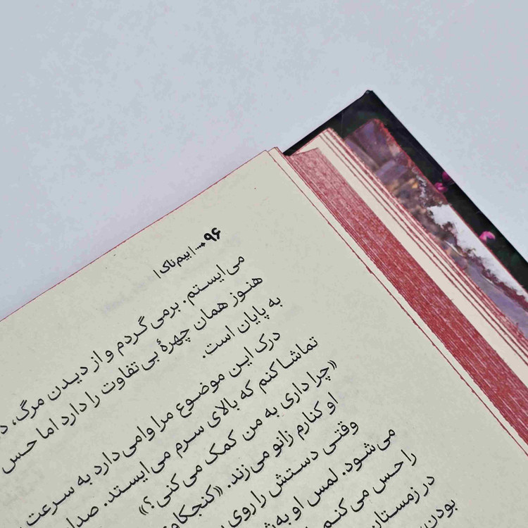 کتاب بیمناک با ترجمه نازیلا سید علیخانی نشر آراستگان